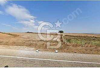 ÇANAKKALE BİGA'DA SATILIK 1.165 m2 TEK TAPU TARLA