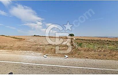 ÇANAKKALE BİGA'DA SATILIK 1.165 m2 TEK TAPU TARLA