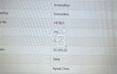 ARNAVUTKÖY — DURSUNBEY MAHALLESİ | FIRSAT ve YATIRIM AVANTAJLARI