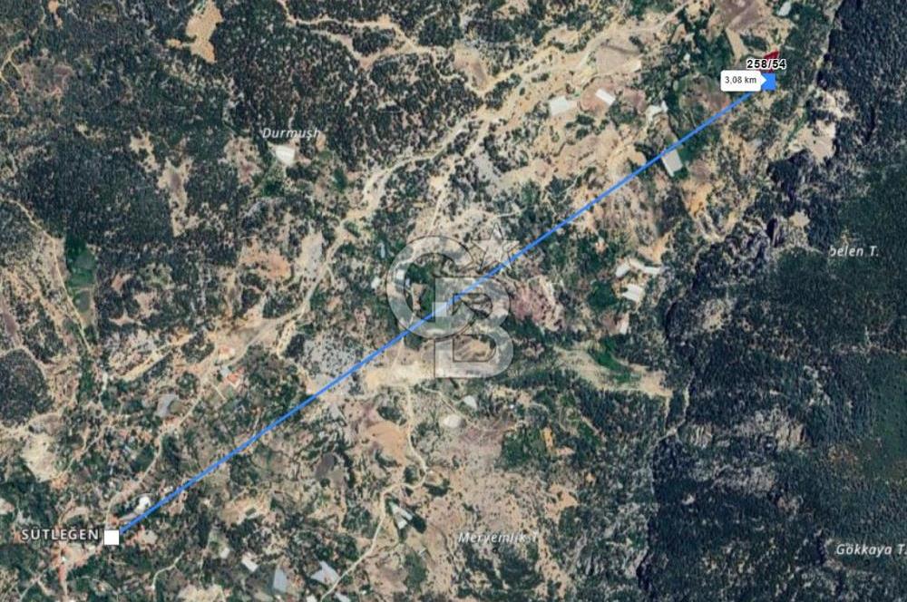 Kaş Sütleğen' de 3.155 m2 Tarla 