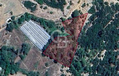 Kaş Sütleğen' de 3.155 m2 Tarla 