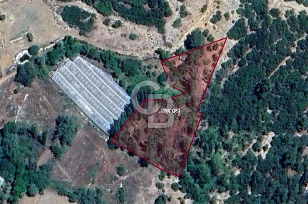 Kaş Sütleğen' de 3.155 m2 Tarla 