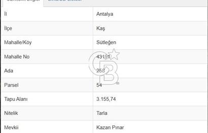 Kaş Sütleğen' de 3.155 m2 Tarla 