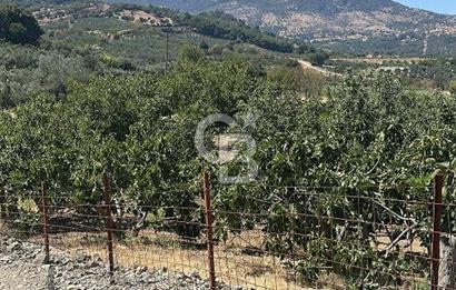 MENEMEN BOZALAN'DA YATIRIMA UYGUN SATILIK TARLA
