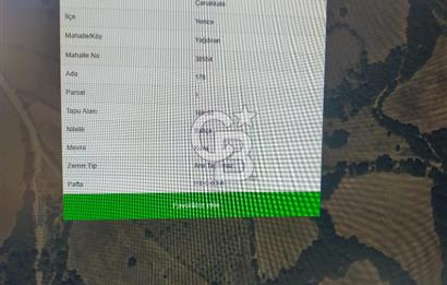 ÇANAKKALE YENİCEDE SATILIK 190 METREKARE BAHÇE