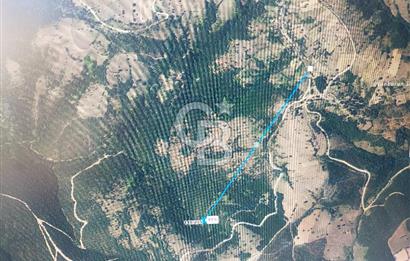 ÇANAKKALE YENİCEDE SATILIK 190 METREKARE BAHÇE