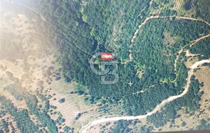 ÇANAKKALE YENİCEDE SATILIK 190 METREKARE BAHÇE