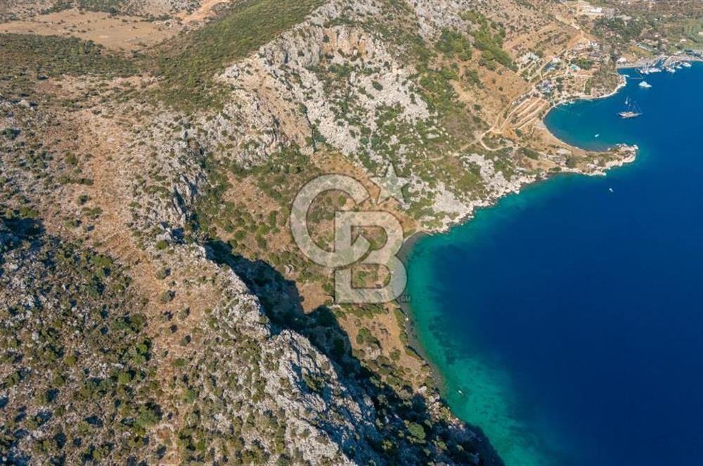 CB MARİNA'DAN YATIRIM FIRSATI - SÖĞÜT'TE DENİZE PARALEL 4750 M2
