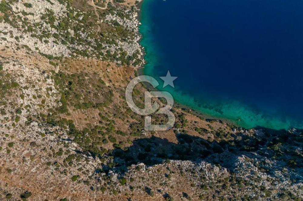 CB MARİNA'DAN YATIRIM FIRSATI - SÖĞÜT'TE DENİZE PARALEL 4750 M2