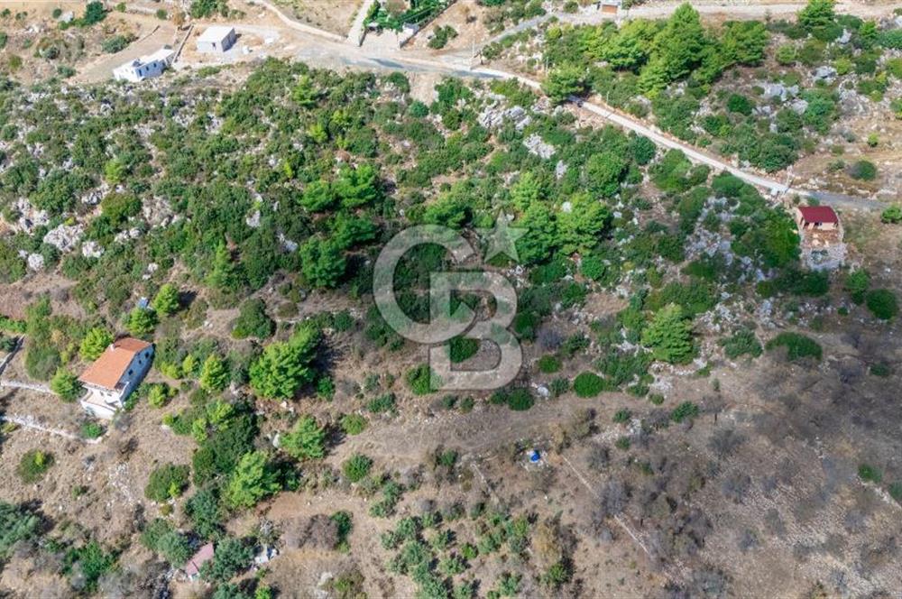 CB MARİNA'DAN SATILIK - SÖĞÜT'TE 319M2 DENİZ MANZARALI TARLA