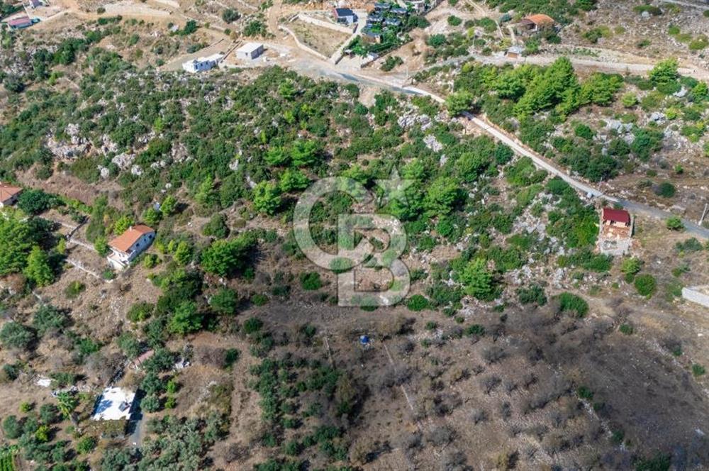 CB MARİNA'DAN SATILIK - SÖĞÜT'TE 319M2 DENİZ MANZARALI TARLA
