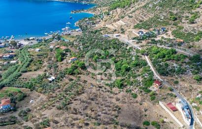 CB MARİNA'DAN SATILIK - SÖĞÜT'TE 319M2 DENİZ MANZARALI TARLA