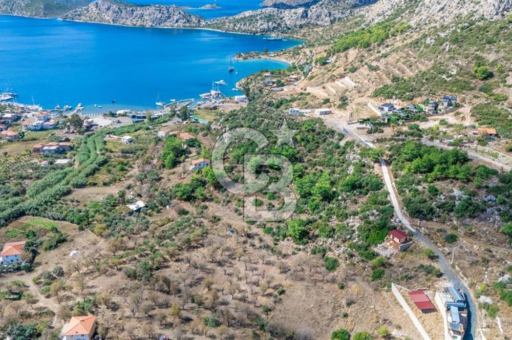 CB MARİNA'DAN SATILIK - SÖĞÜT'TE 319M2 DENİZ MANZARALI TARLA