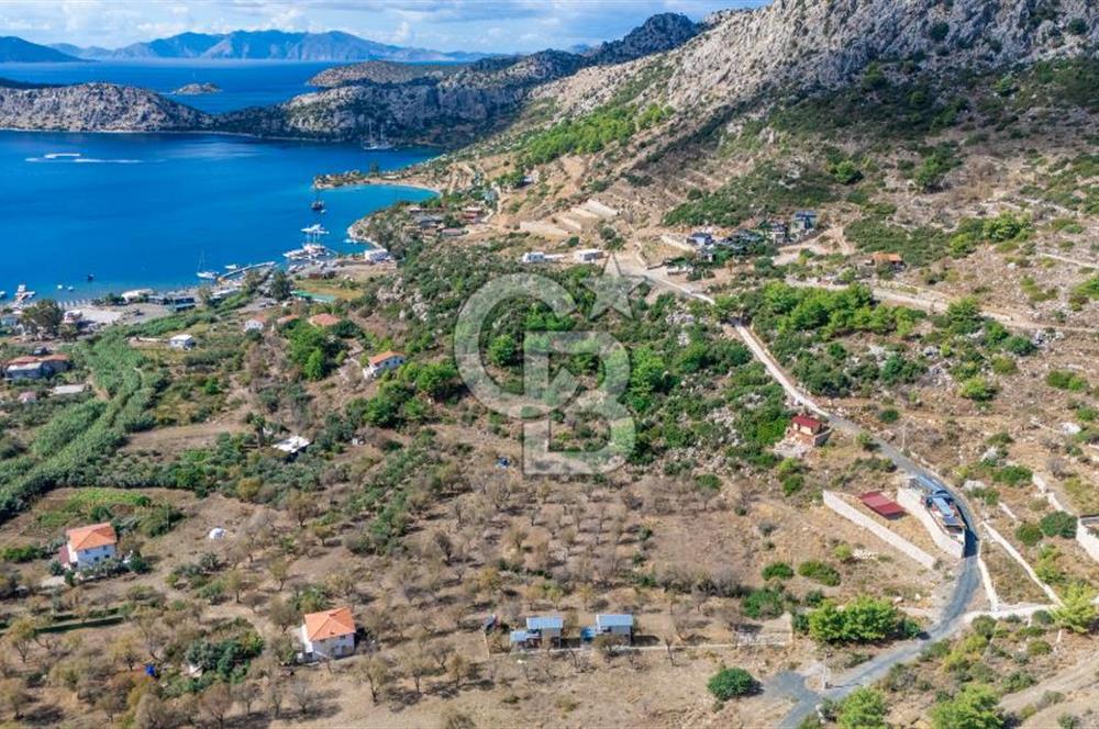 CB MARİNA'DAN SATILIK - SÖĞÜT'TE 319M2 DENİZ MANZARALI TARLA
