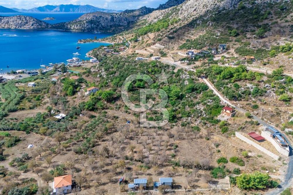 CB MARİNA'DAN SATILIK - SÖĞÜT'TE 319M2 DENİZ MANZARALI TARLA