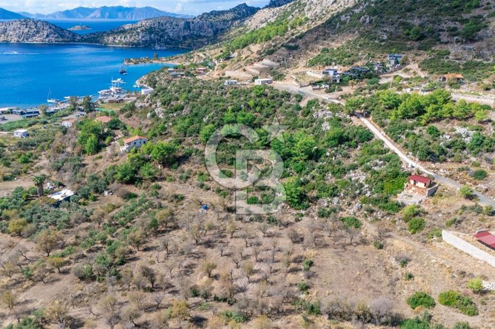 CB MARİNA'DAN SATILIK - SÖĞÜT'TE 319M2 DENİZ MANZARALI TARLA