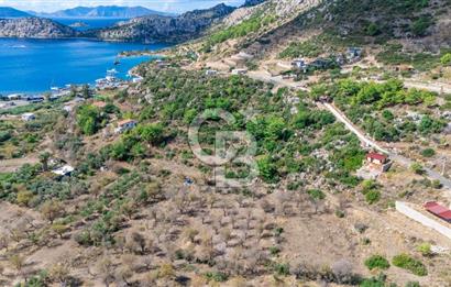 CB MARİNA'DAN SATILIK - SÖĞÜT'TE 319M2 DENİZ MANZARALI TARLA