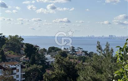 Büyükada da 1579 m2 Havuzlu Çam ve Deniz Manzaralı Satılık 6+1 Villa 