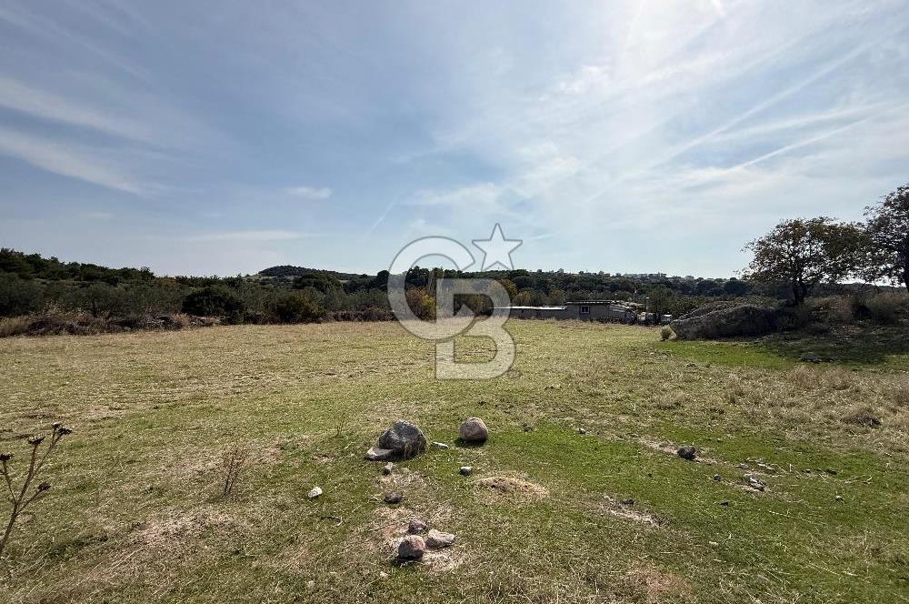 Dikili Çandarlı'da | İmar Sınırında Satılık 23.000 m² Tarla