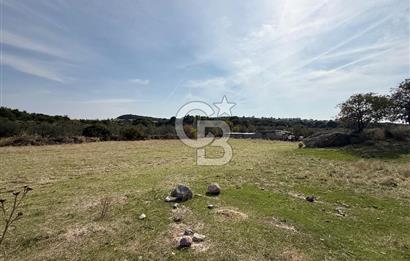 Dikili Çandarlı'da | İmar Sınırında Satılık 23.000 m² Tarla