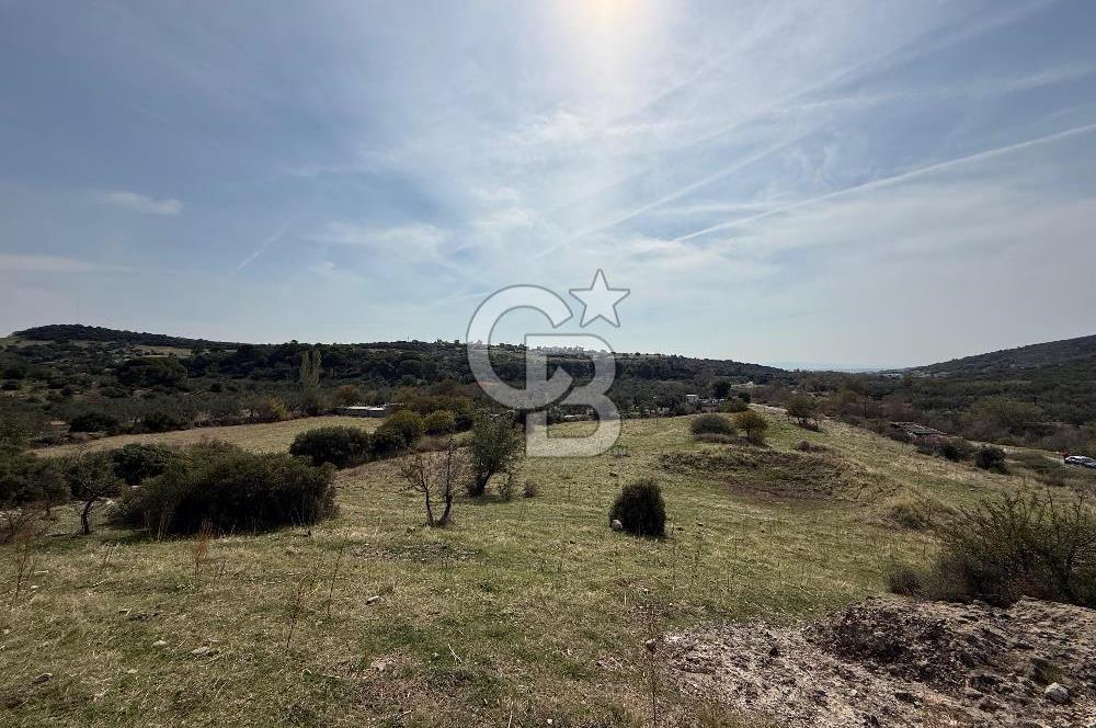 Dikili Çandarlı'da | İmar Sınırında Satılık 23.000 m² Tarla