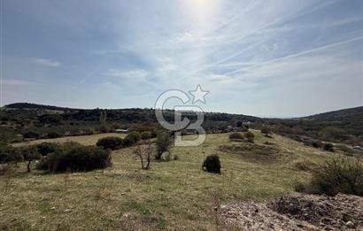 Dikili Çandarlı'da | İmar Sınırında Satılık 23.000 m² Tarla
