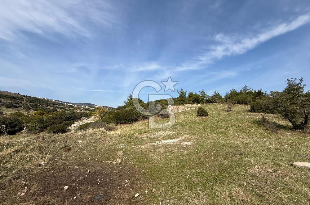 Dikili Çandarlı'da | İmar Sınırında Satılık 23.000 m² Tarla