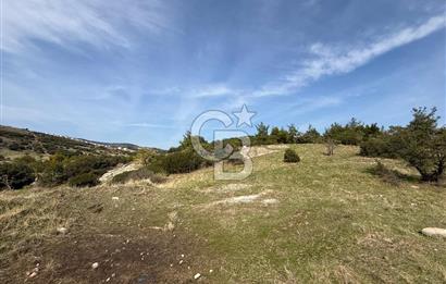 Dikili Çandarlı'da | İmar Sınırında Satılık 23.000 m² Tarla