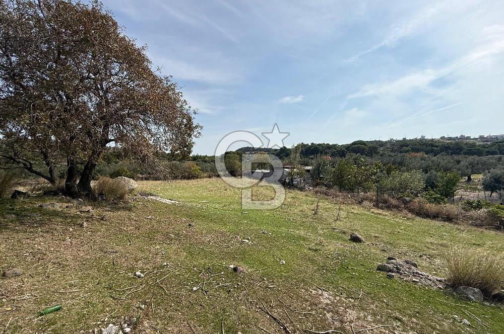 Dikili Çandarlı'da | İmar Sınırında Satılık 23.000 m² Tarla