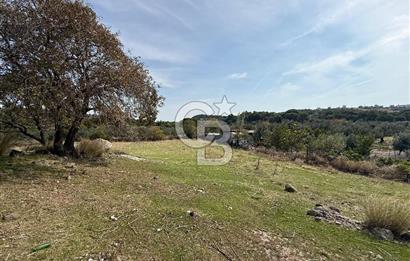 Dikili Çandarlı'da | İmar Sınırında Satılık 23.000 m² Tarla