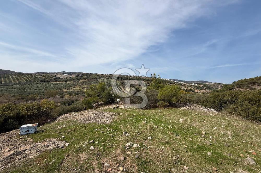 Dikili Çandarlı'da | İmar Sınırında Satılık 23.000 m² Tarla