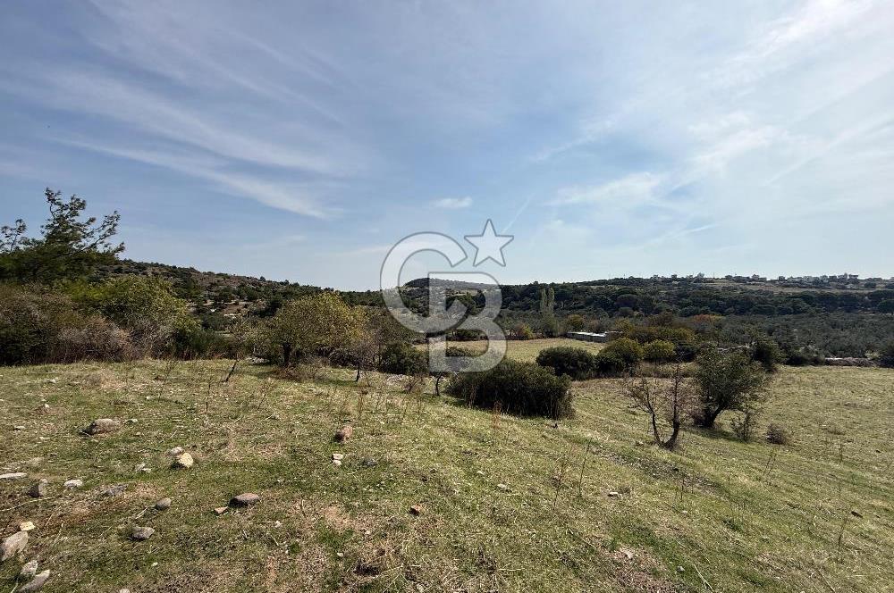 Dikili Çandarlı'da | İmar Sınırında Satılık 23.000 m² Tarla