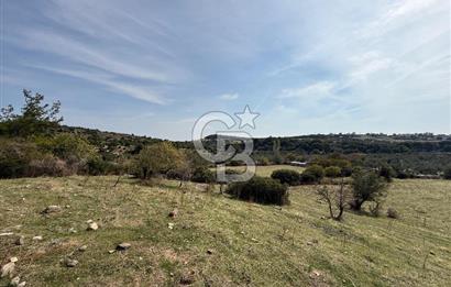 Dikili Çandarlı'da | İmar Sınırında Satılık 23.000 m² Tarla