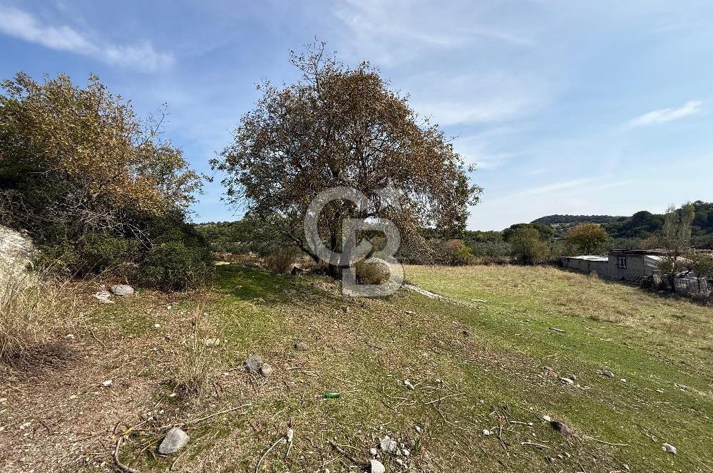 Dikili Çandarlı'da | İmar Sınırında Satılık 23.000 m² Tarla
