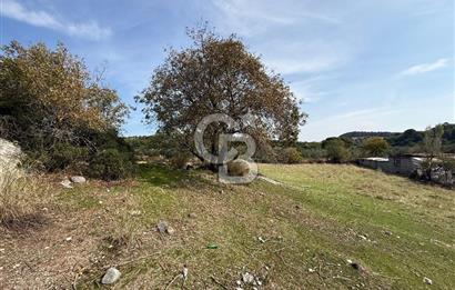 Dikili Çandarlı'da | İmar Sınırında Satılık 23.000 m² Tarla