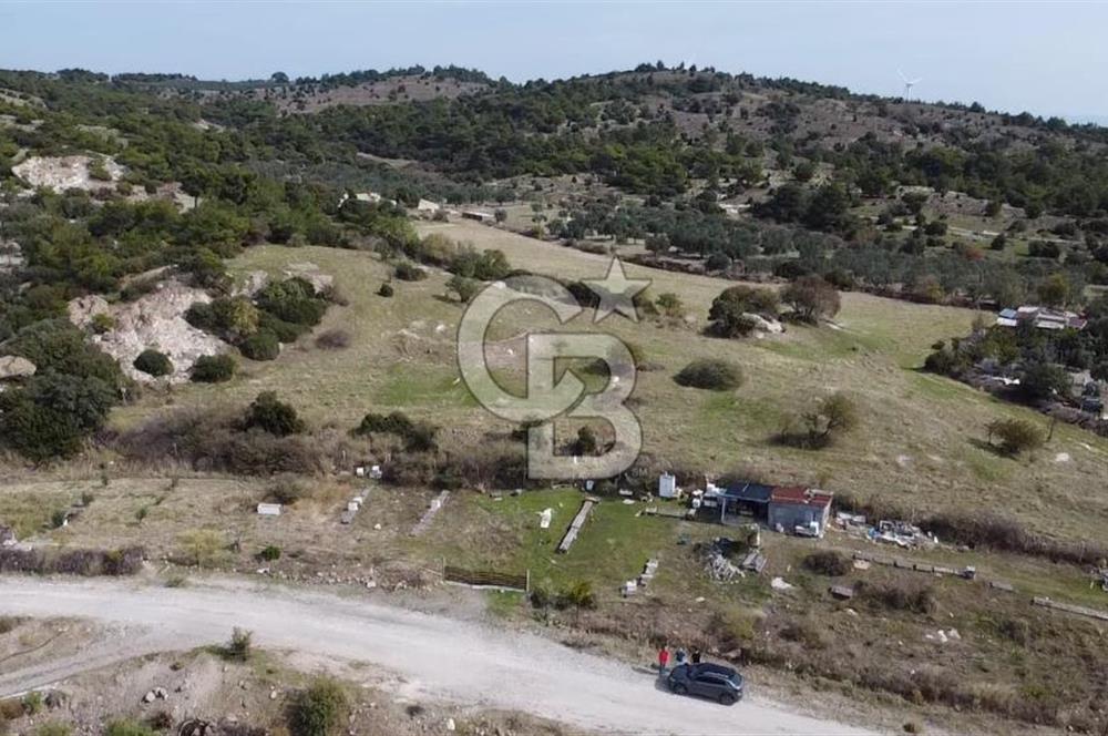 Dikili Çandarlı'da | İmar Sınırında Satılık 23.000 m² Tarla