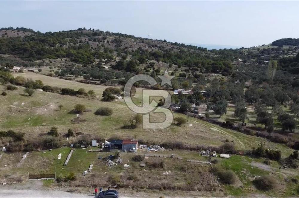 Dikili Çandarlı'da | İmar Sınırında Satılık 23.000 m² Tarla