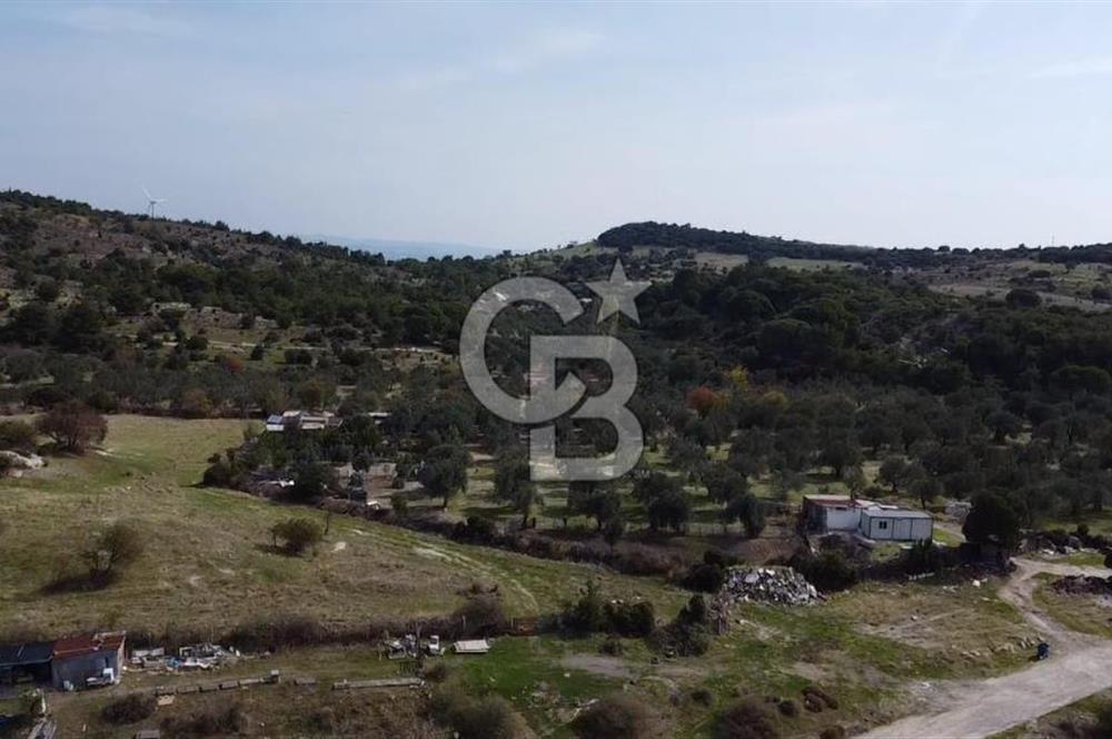 Dikili Çandarlı'da | İmar Sınırında Satılık 23.000 m² Tarla
