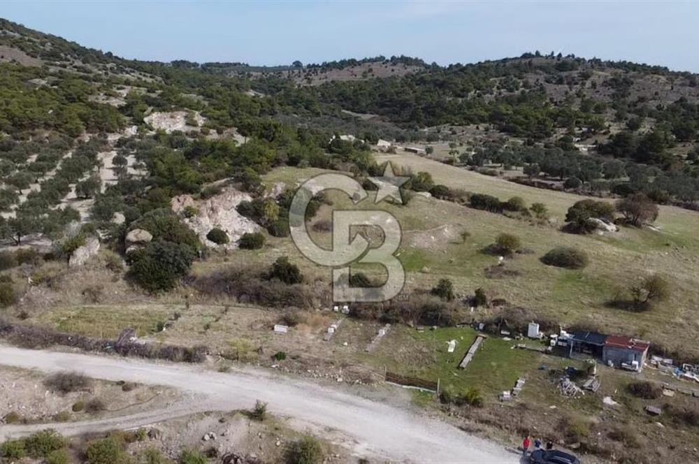 Dikili Çandarlı'da | İmar Sınırında Satılık 23.000 m² Tarla