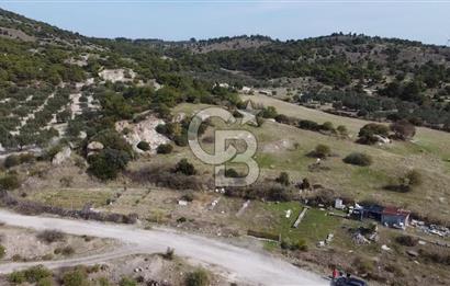 Dikili Çandarlı'da | İmar Sınırında Satılık 23.000 m² Tarla