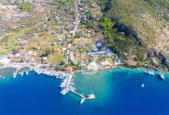 CB MARİNA'DAN SATILIK - DENİZE 50m MESAFEDE 1288M2 BAHÇE