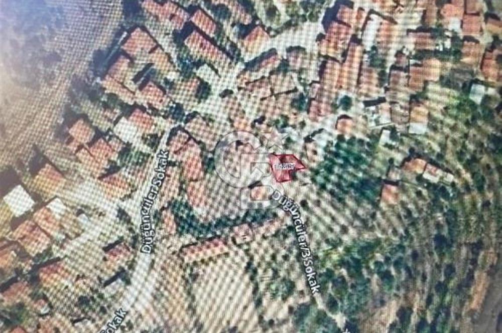 BURSA BÜYÜK ORHAN DÜĞÜNCÜLER KÖYÜNDE SATILIK TARLA