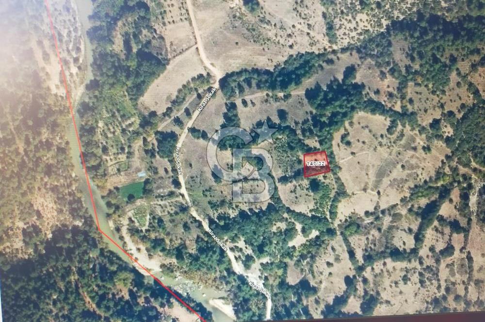 BURSA BÜYÜK ORHAN DÜĞÜNCÜLER KÖYÜNDE SATILIK TARLA