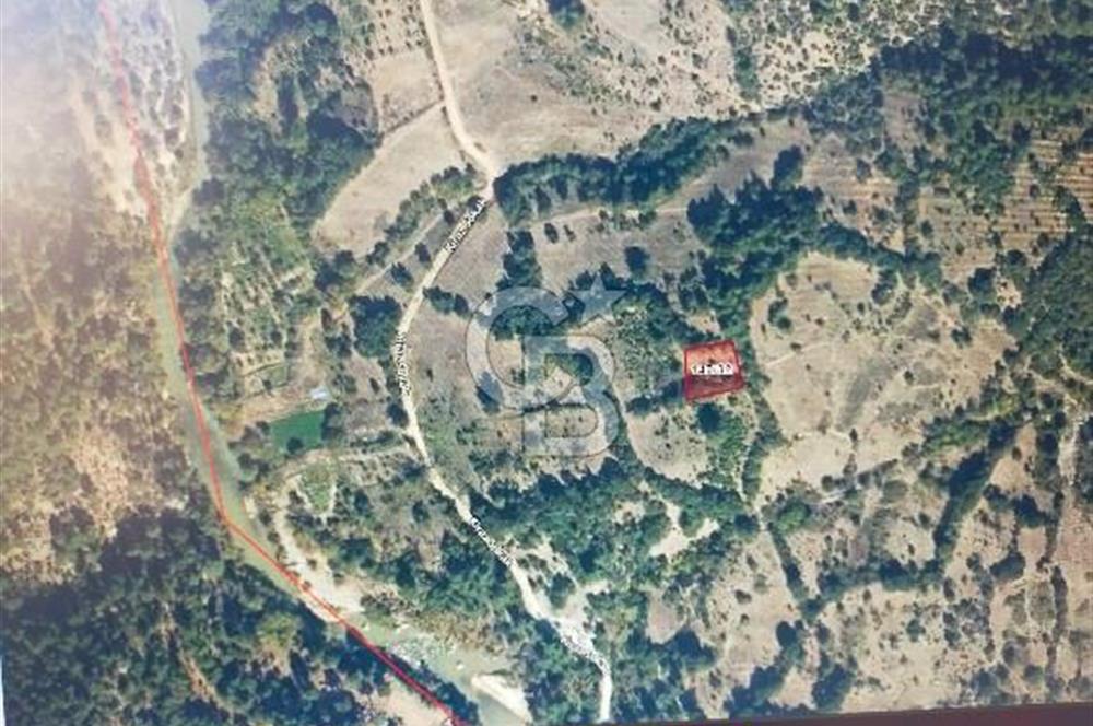 BURSA BÜYÜK ORHAN DÜĞÜNCÜLER KÖYÜNDE SATILIK TARLA