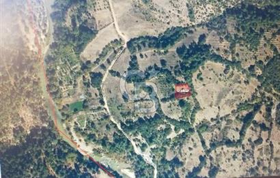 BURSA BÜYÜK ORHAN DÜĞÜNCÜLER KÖYÜNDE SATILIK TARLA