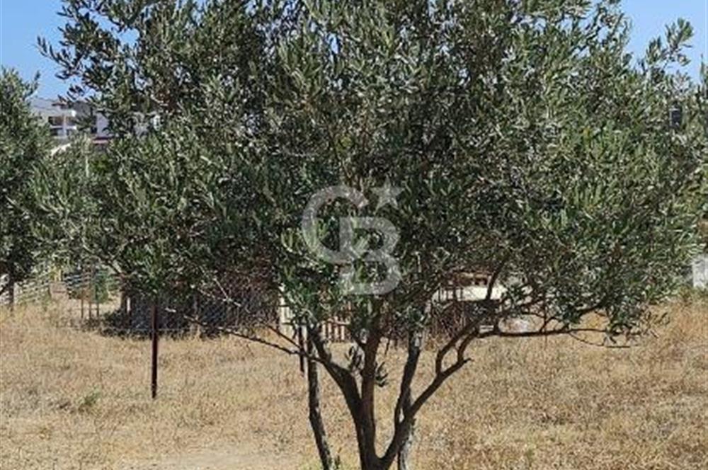 KARABİGADA 15 MİLYONA SATILIK YADA KAT KARŞILIĞI VİLLA ARSASI