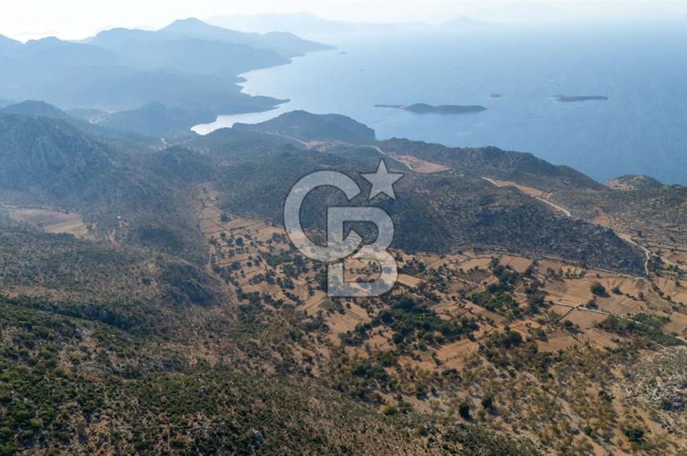 CB MARİNA'DAN MARMARİS TAŞLICA'DA 748 M2 SATILIK TARLA