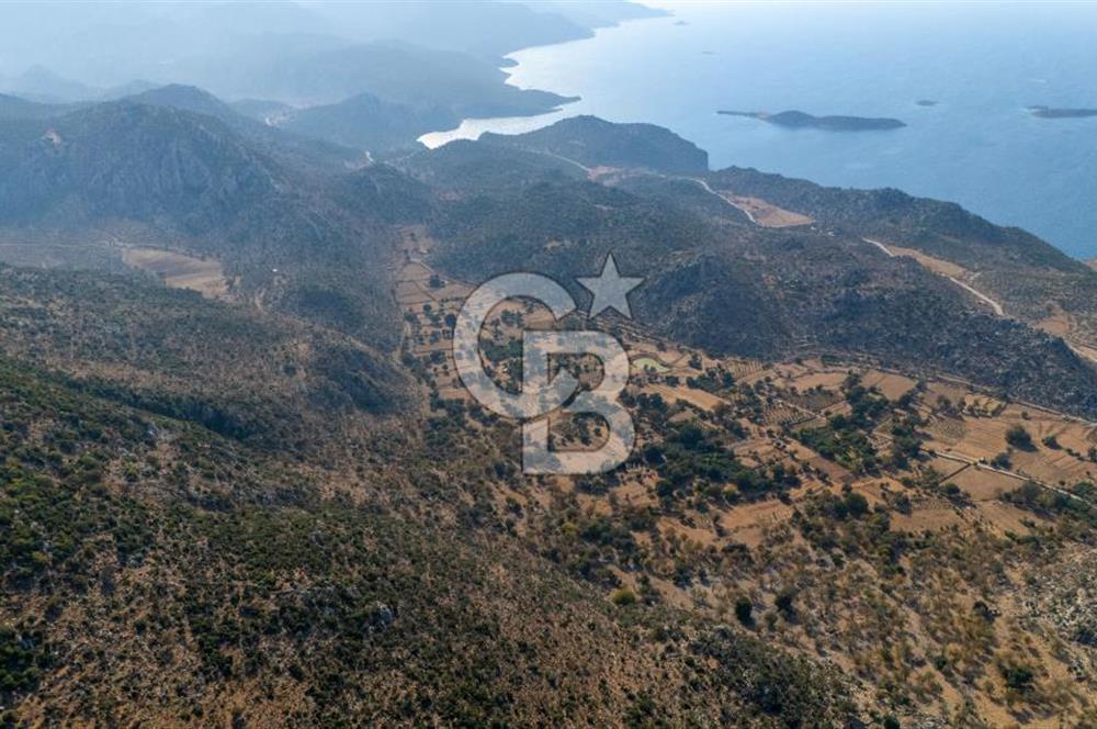 CB MARİNA'DAN MARMARİS TAŞLICA'DA 748 M2 SATILIK TARLA