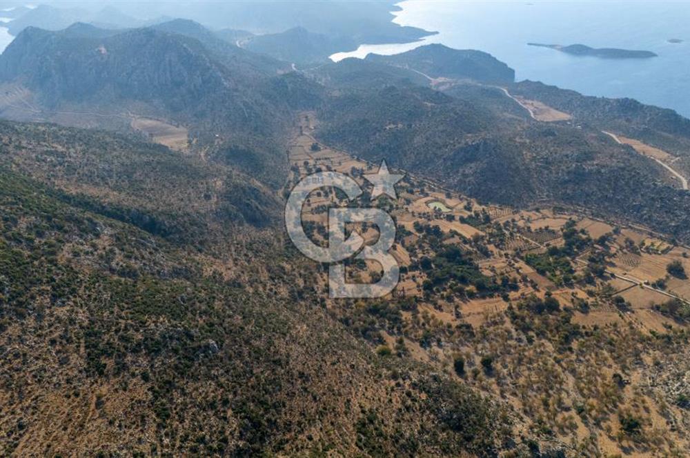 CB MARİNA'DAN MARMARİS TAŞLICA'DA 748 M2 SATILIK TARLA