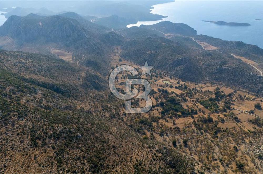 CB MARİNA'DAN MARMARİS TAŞLICA'DA SATILIK 470M2 TARLA
